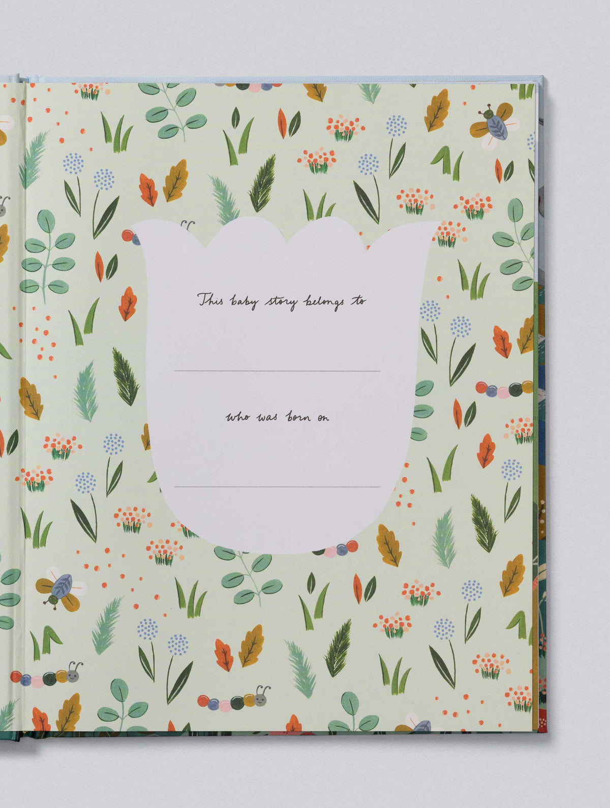 Your Baby Story Bundle