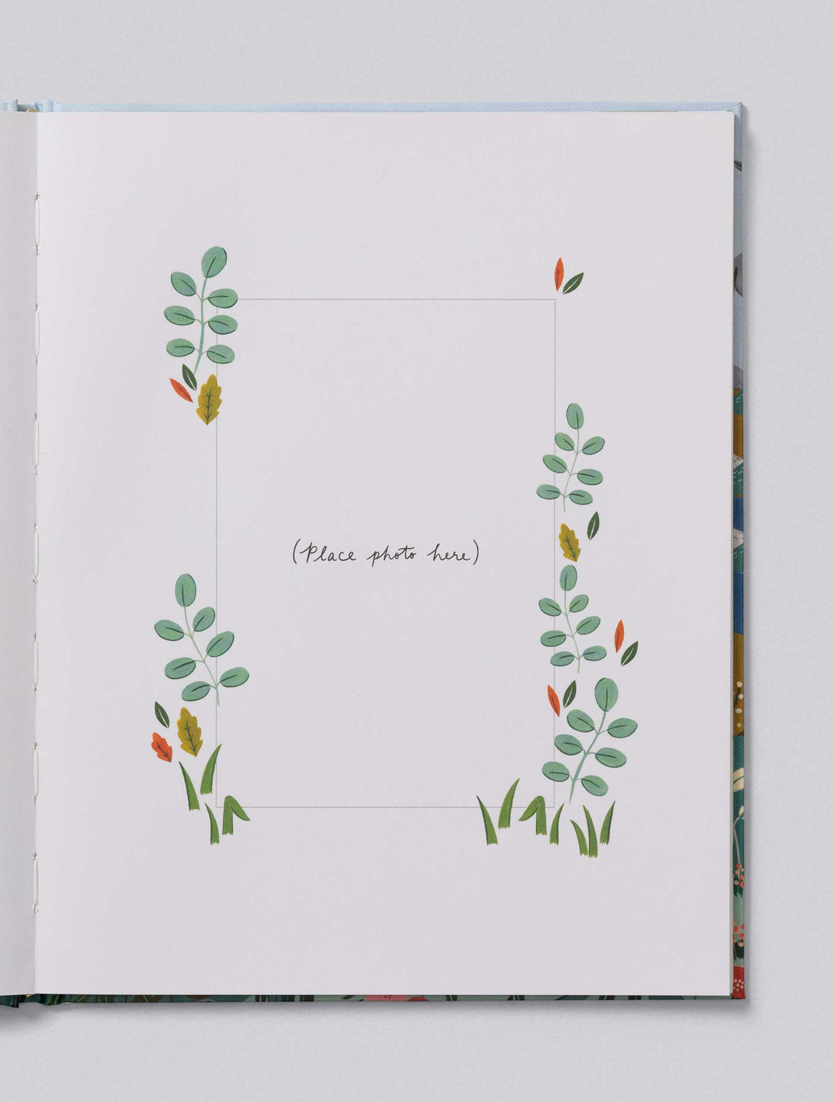 Your Baby Story Bundle