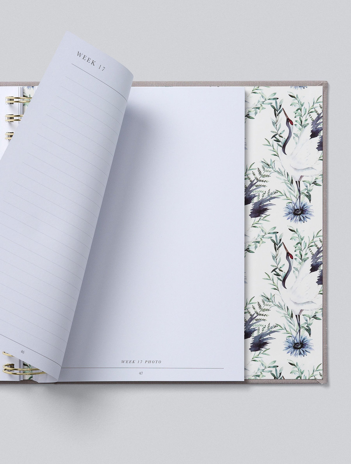 Bump. My Pregnancy Journal. Light Grey. Slightly Imperfect