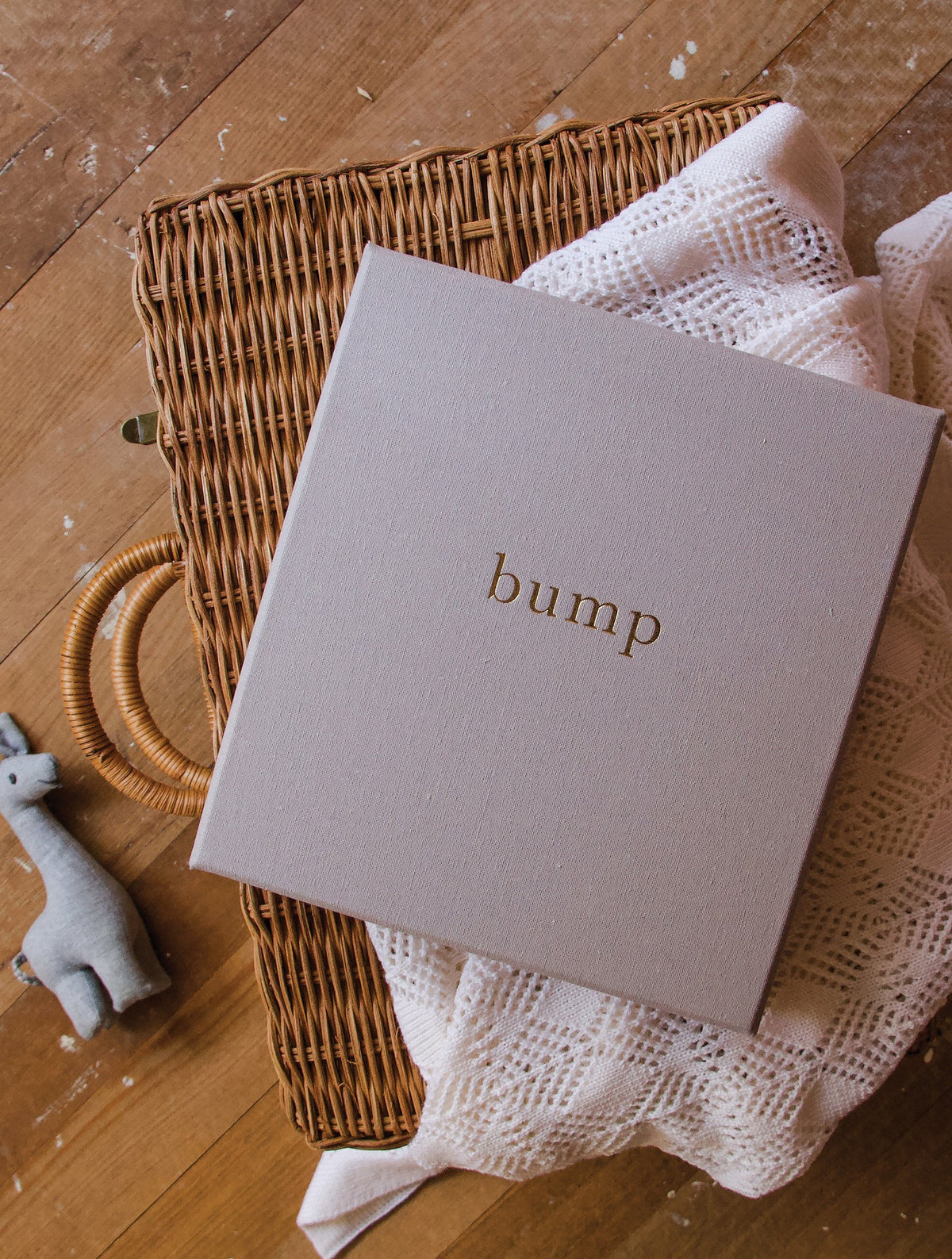 Bump. My Pregnancy Journal. Light Grey. Slightly Imperfect