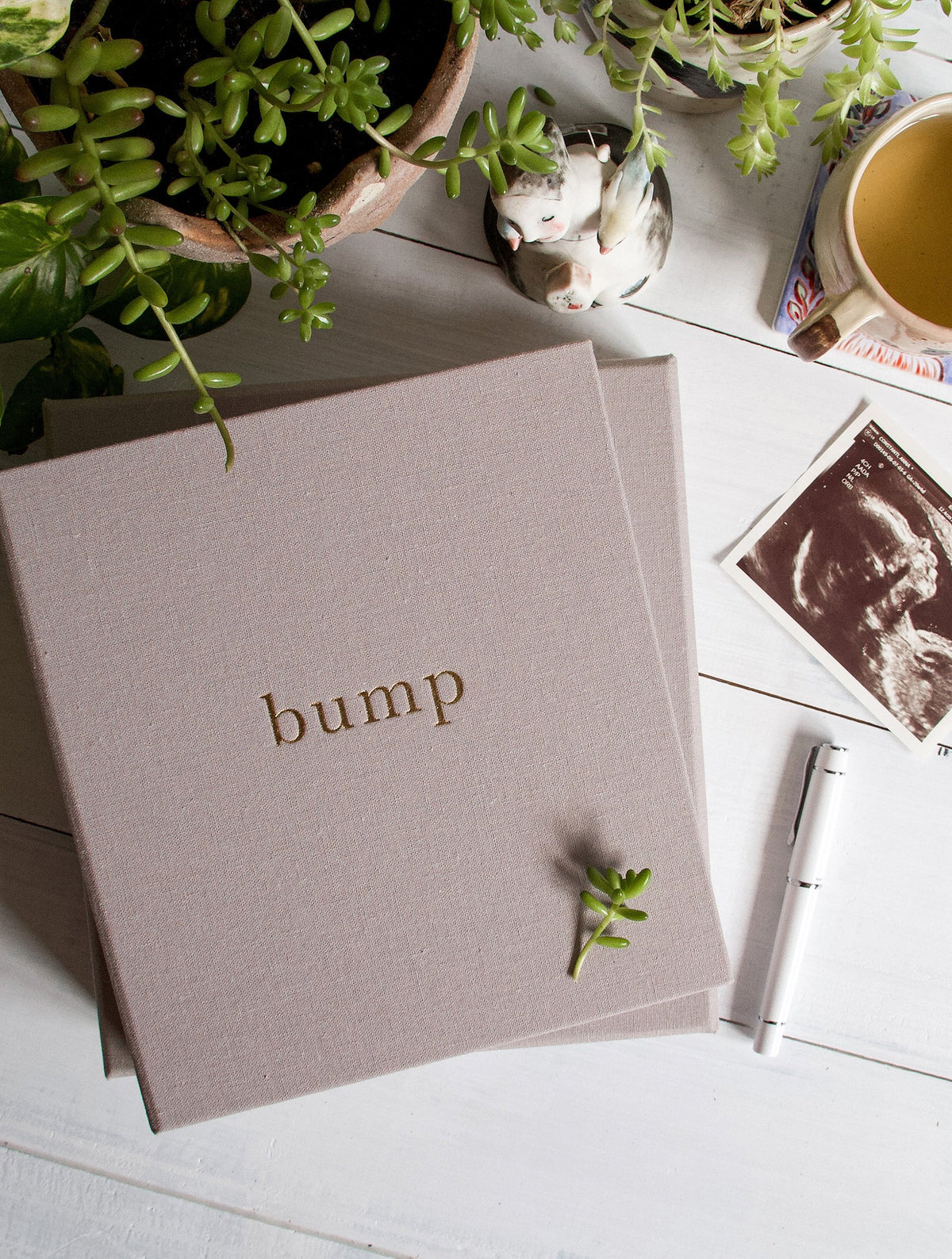 Bump. My Pregnancy Journal. Light Grey. Slightly Imperfect