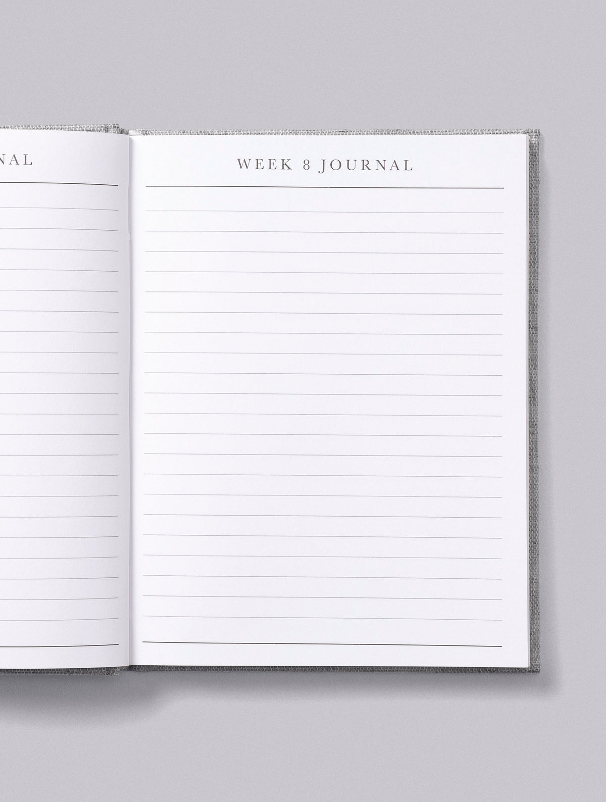 Bump. A Pregnancy Story