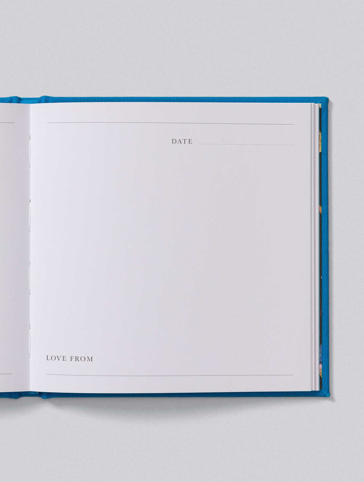 Tooth Fairy Letters. Blue