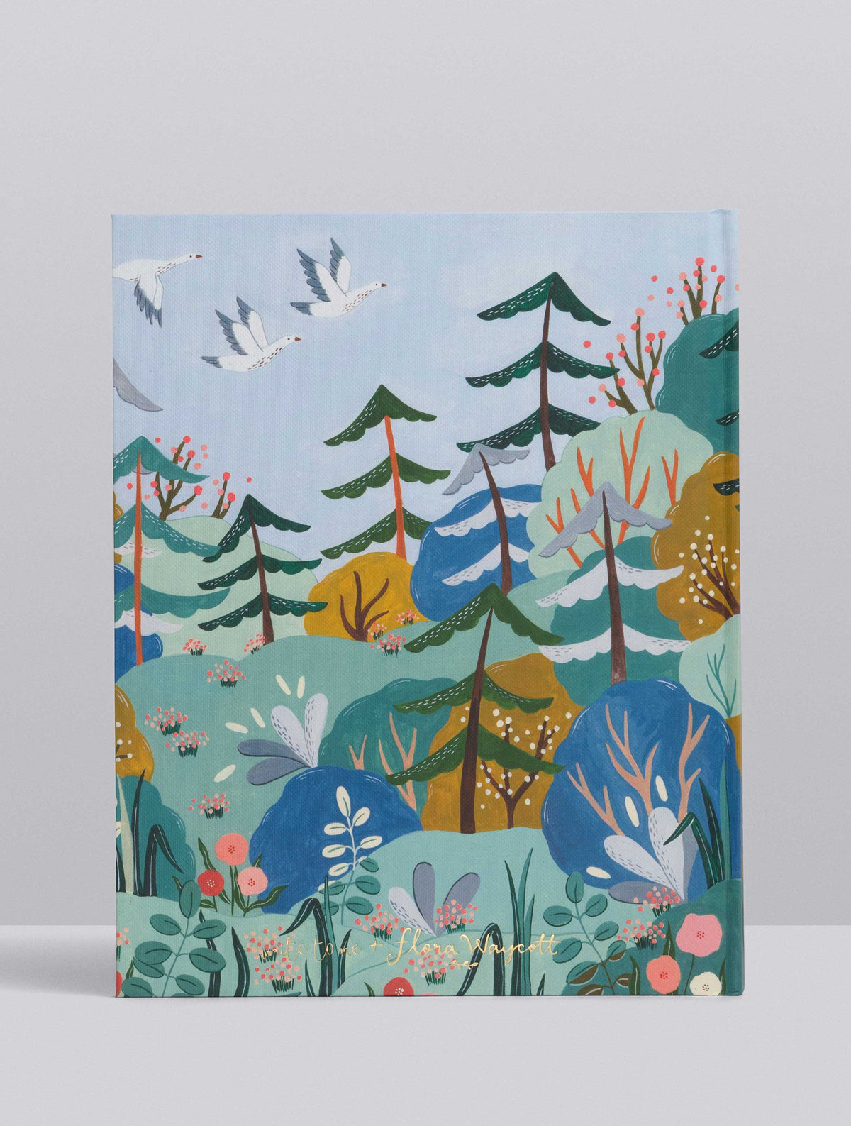 Your Baby Story Bundle