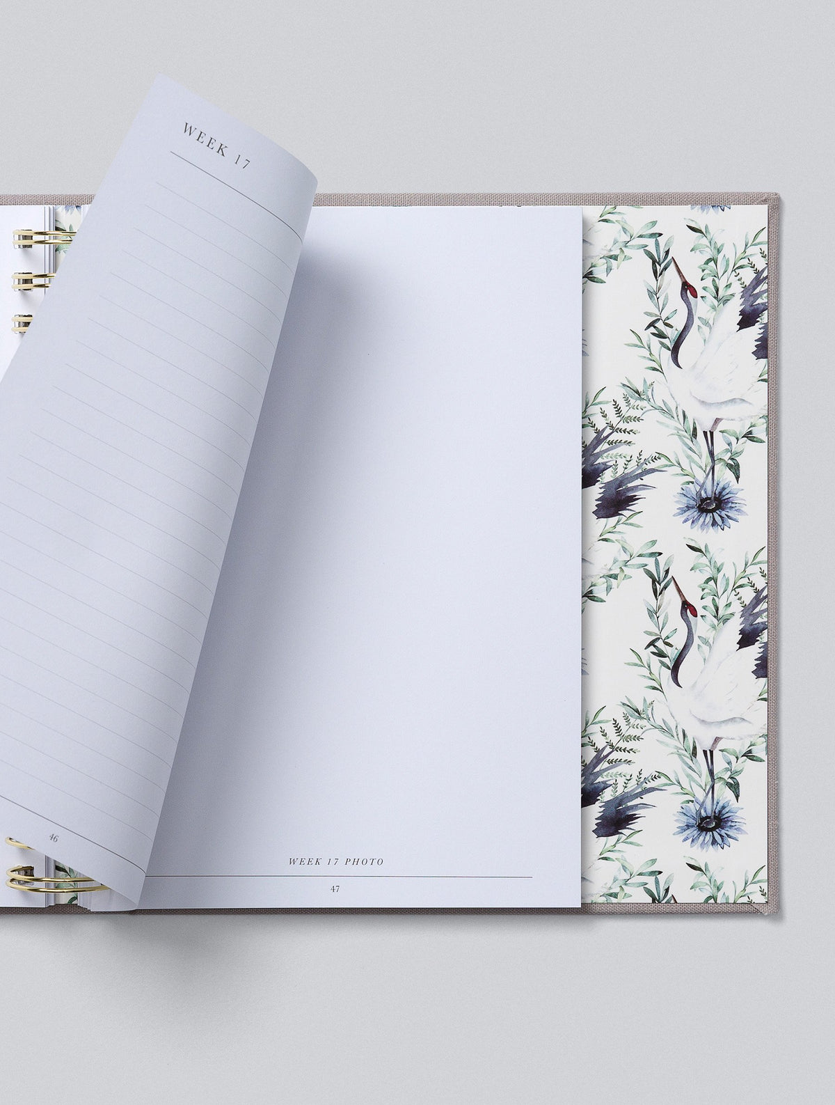 Bump. My Pregnancy Journal. Light Grey