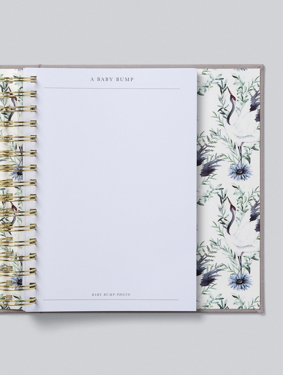 Bump. My Pregnancy Journal. Light Grey