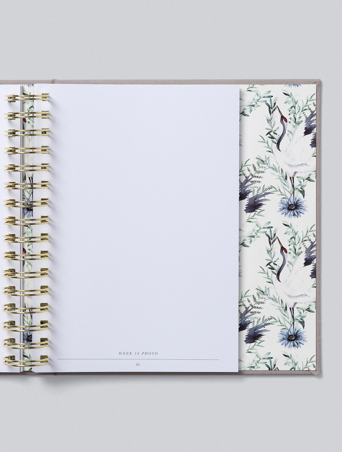Bump. My Pregnancy Journal. Light Grey