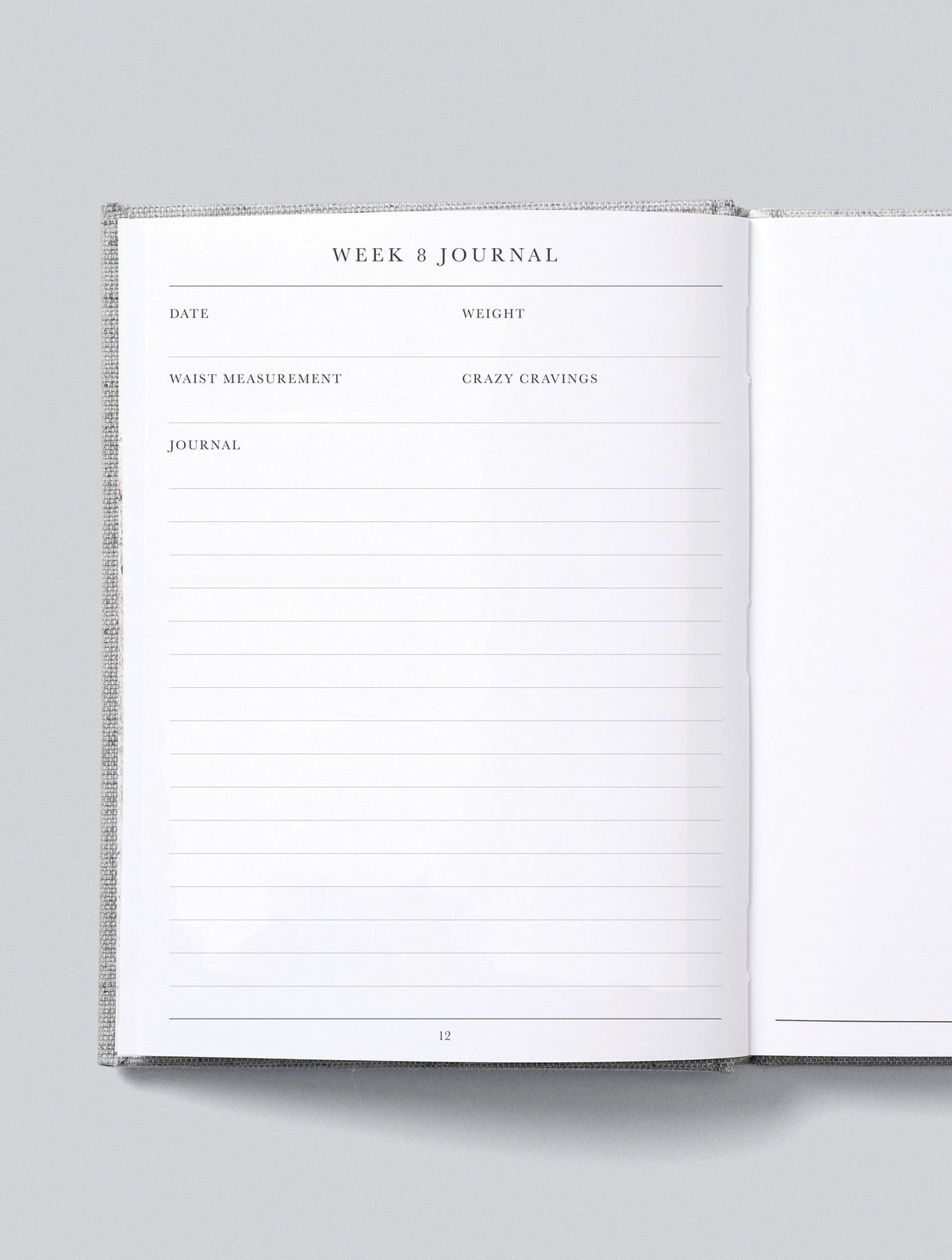 Bump. A Pregnancy Story