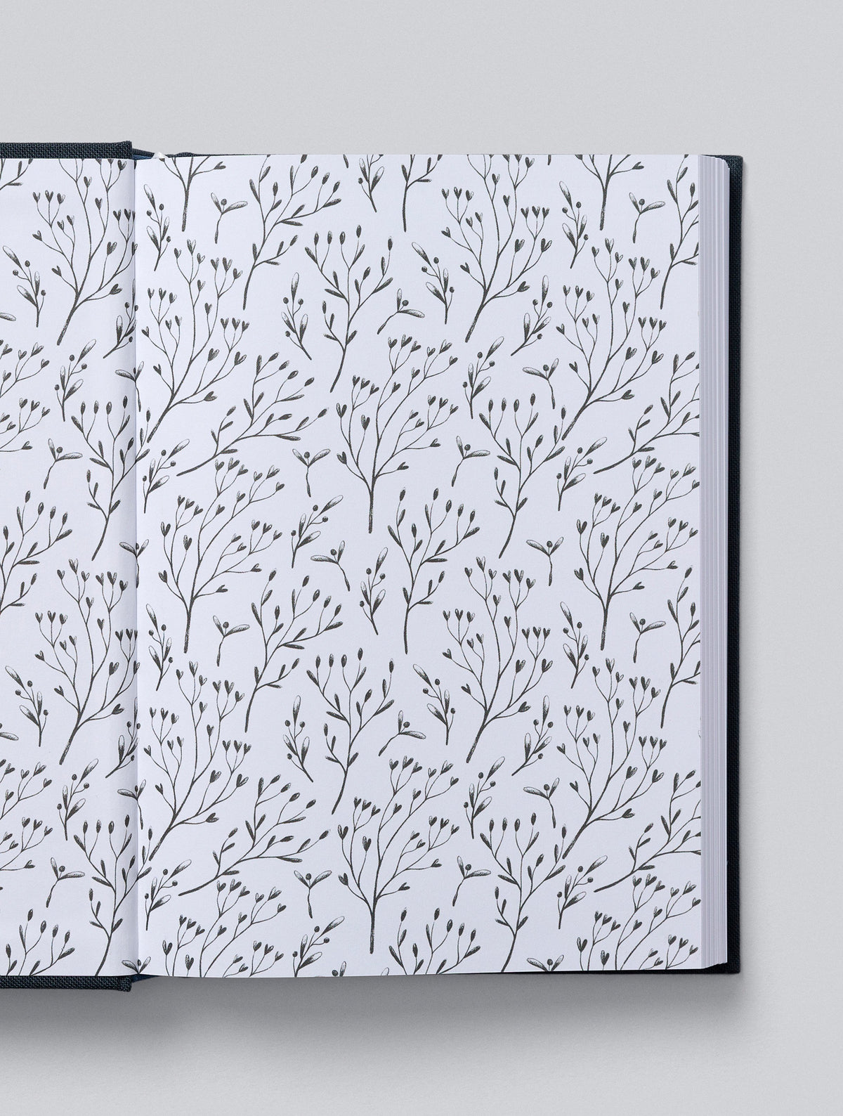 Family Gratitude Bundle