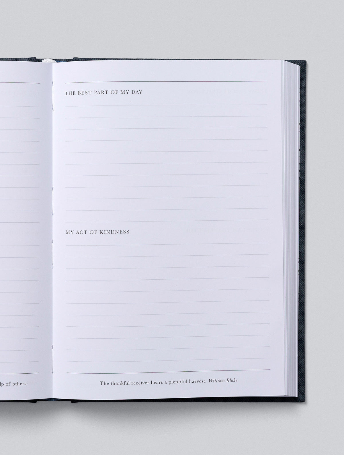 Family Gratitude Bundle