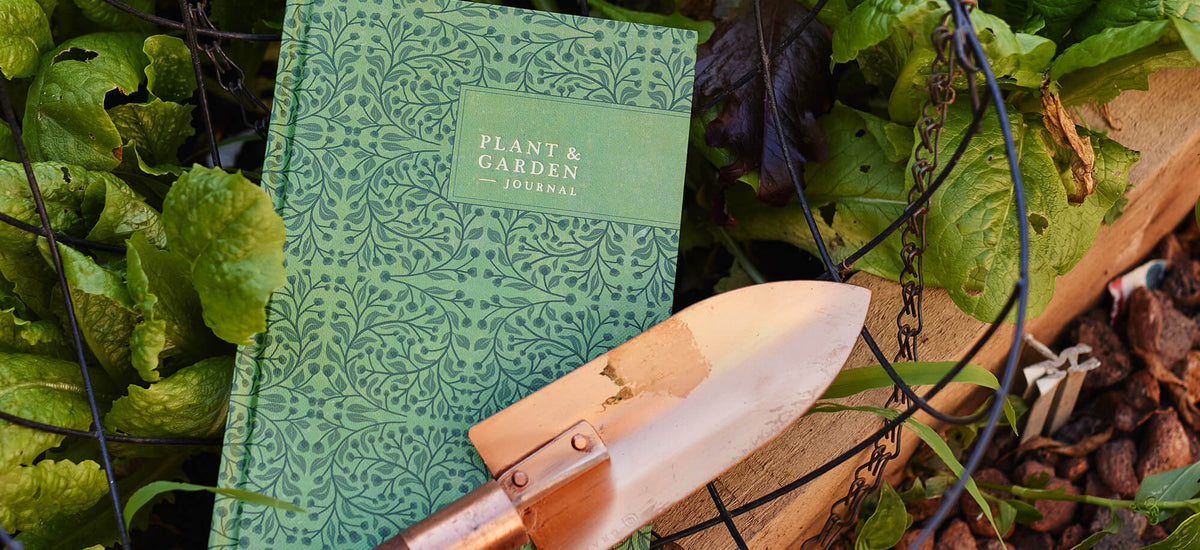 Hobby Journals - Pen To Paper - Write To Me AU