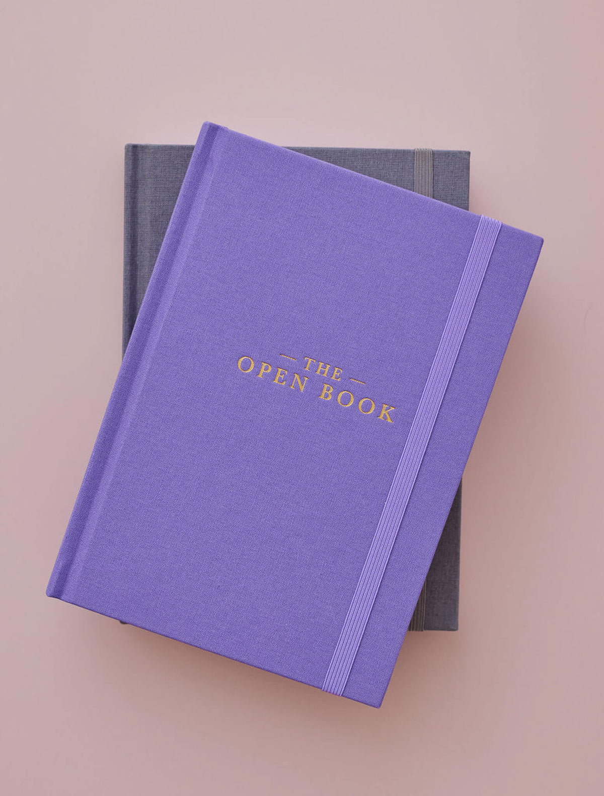 2025 Weekly Planner Blush + Open Book Violet Bundle + FREE PEN PACK!