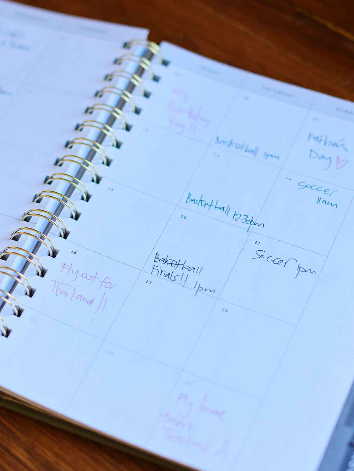 2026 Daily Hustle Planner. Pistachio. Preorder
