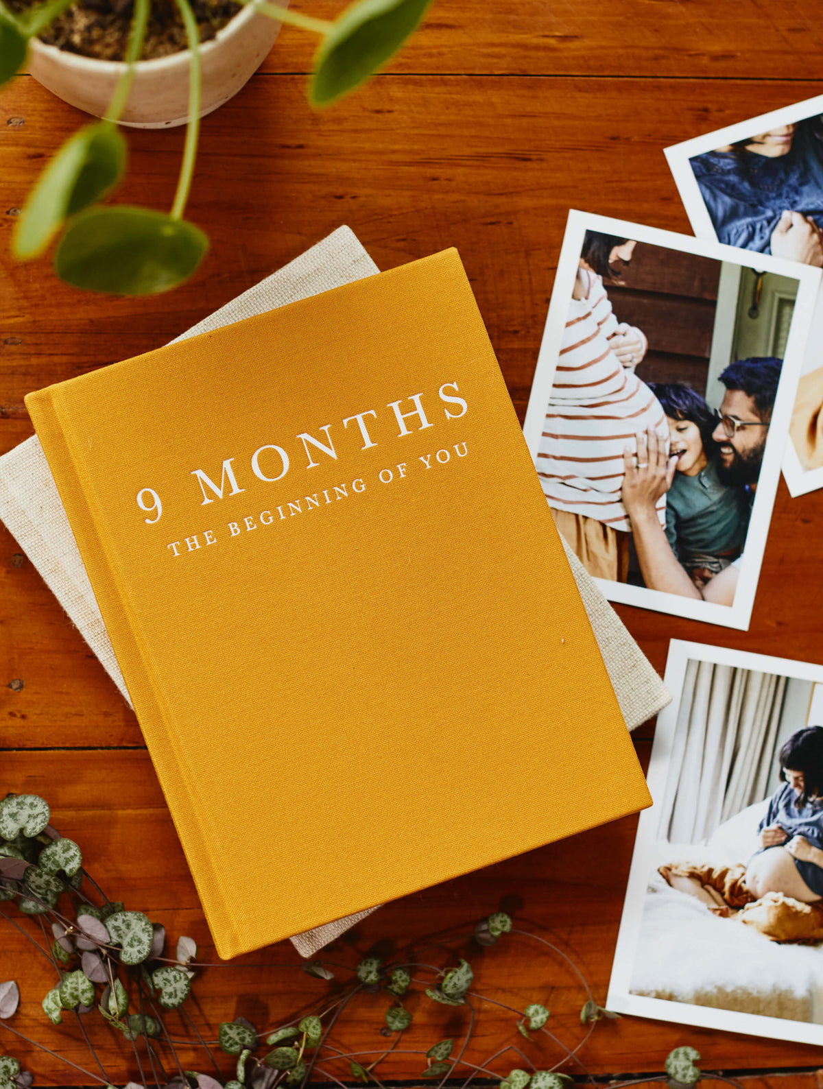 9 Months. Pregnancy Journal