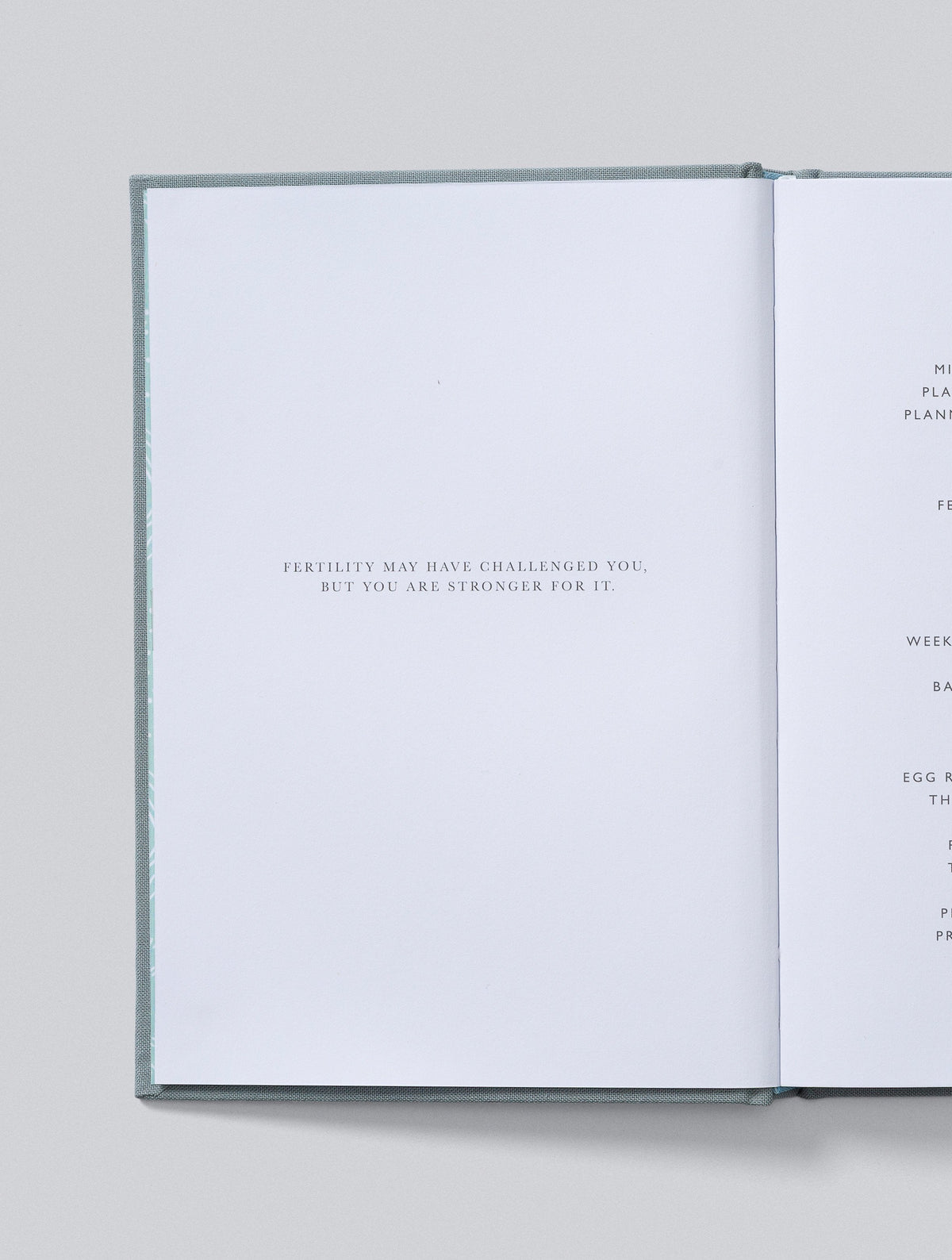 IVF Journal. Grey. Slightly Imperfect