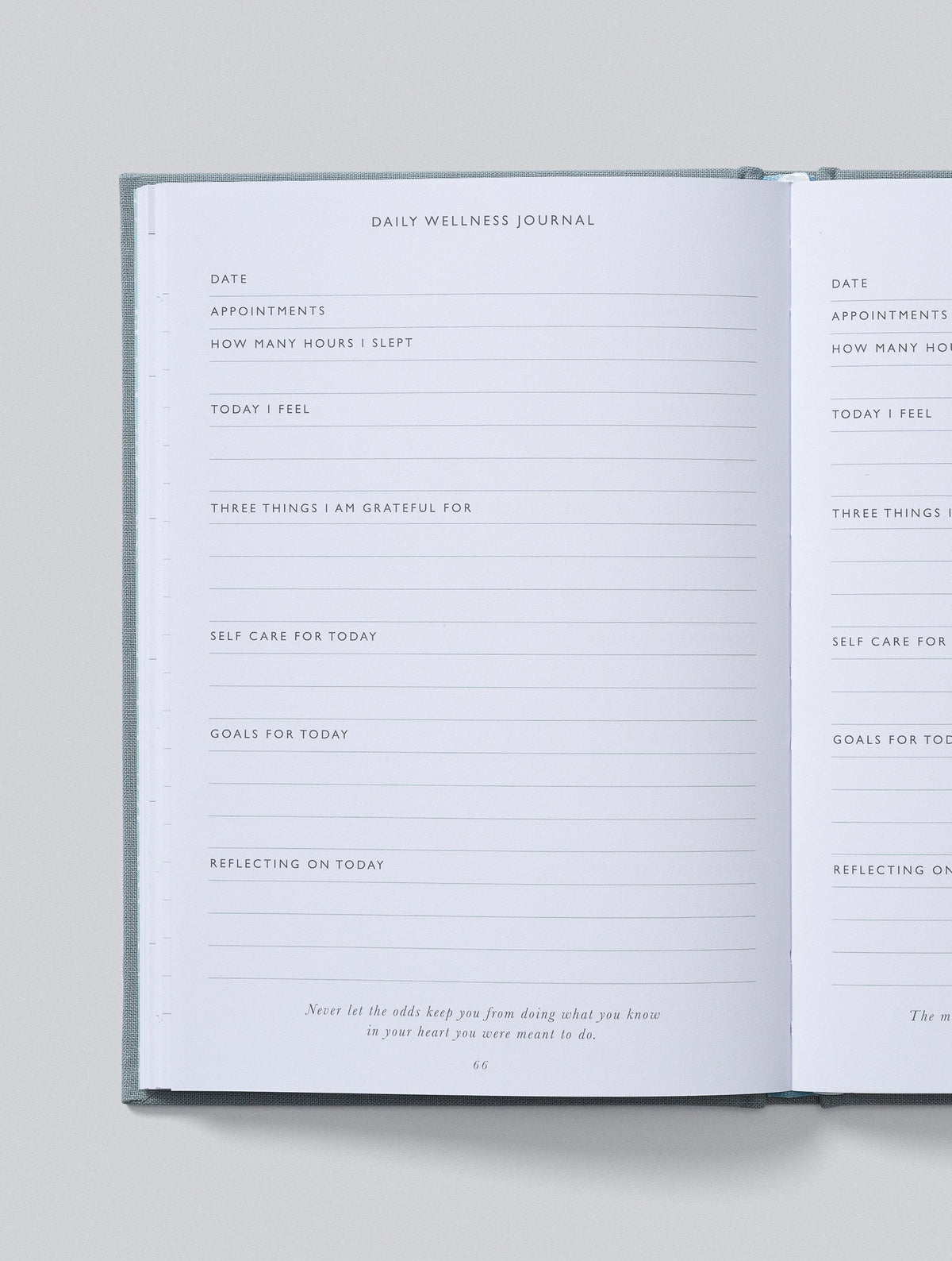 IVF Journal. Grey. Slightly Imperfect